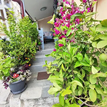 Apartment Margarita's House 2 *