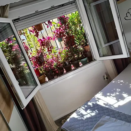 Margarita's House 2