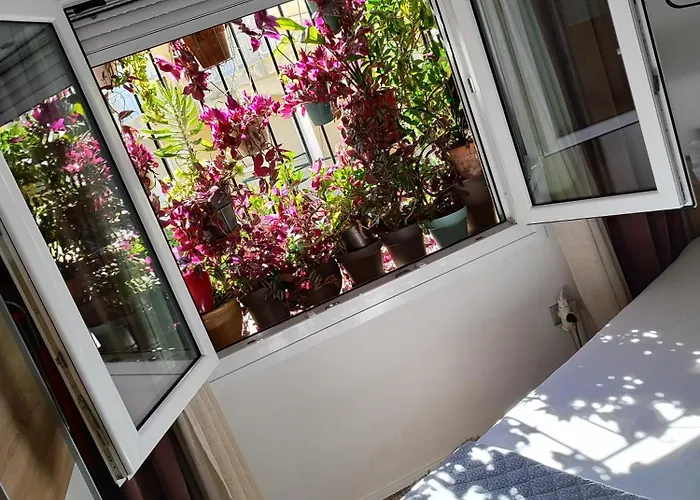 Margarita's House 2