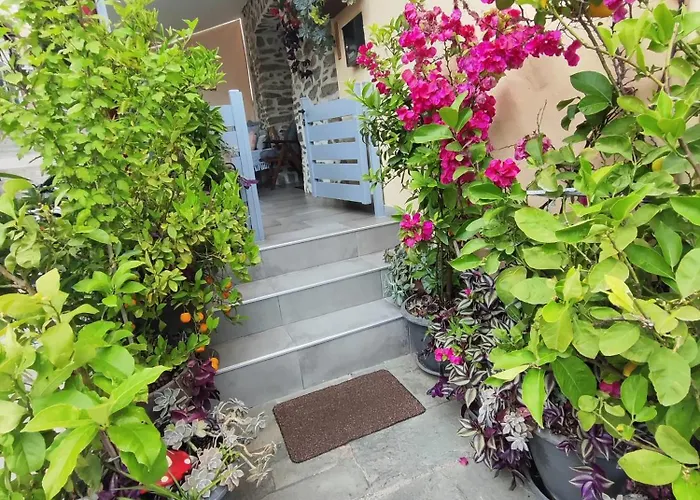 Margarita's House 2 卡瓦拉